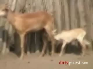 Japanese Reporter Gets Fucked By African Tribesmen