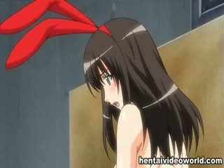 Playboy bunny and maid manga porn