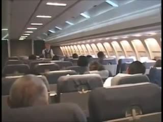 Flight attendant seeliku alt 2