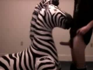 Zebra gets throat scopata da pervert guy video